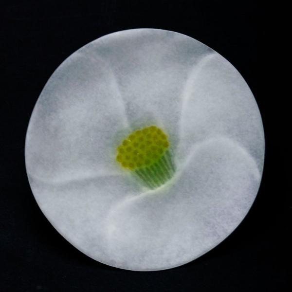 ガラス：薄皿・椿・11cm・d.Tam《小皿・11.0cm》