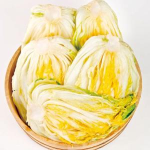 【冷蔵】★予約制・牛舞・塩漬け白菜・5kg