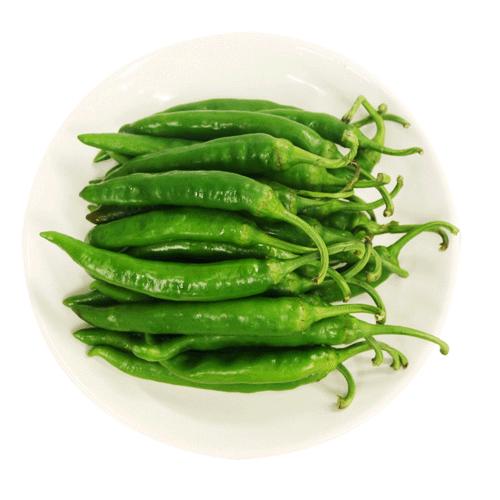 【冷蔵】青唐辛子・500g★時価★