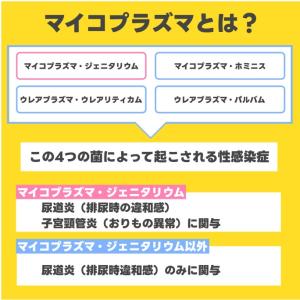 男性セットC+マイコプラズマ 6項目:性器クラ...の詳細画像2