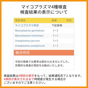 男性セットC+マイコプラズマ 6項目:性器クラ...の詳細画像3