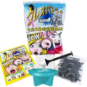 鼻毛 脱毛 除毛 ノーズ ワックス 鼻毛ケア ...の詳細画像1