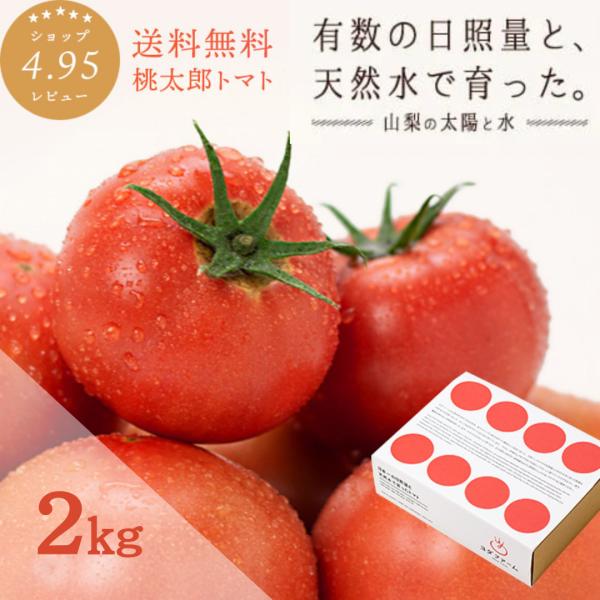 【4月発送予約商品】トマト約2kg 秋作採れたて 農家 直送 採れたて 送料無料【おまけ 付き】 プ...