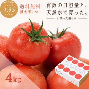 トマト約4kg 秋作採れたて 農家直送 採れたて  プレゼント