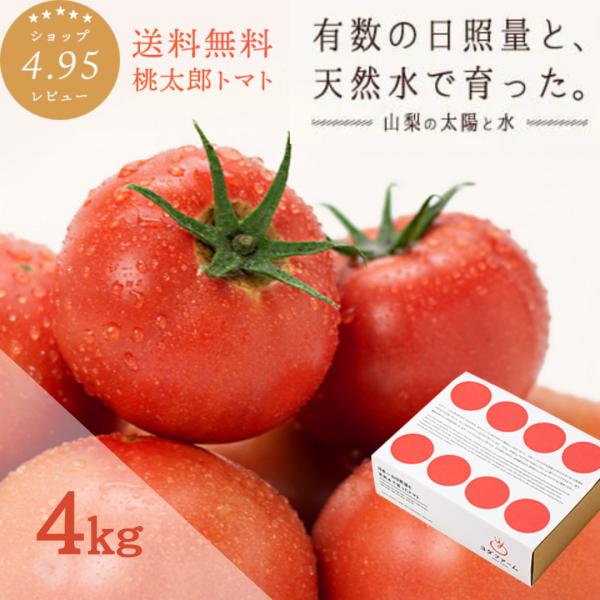 【4月発送予約商品】トマト約4kg 秋作採れたて 農家直送 採れたて 送料無料【おまけ付き】 プレゼ...