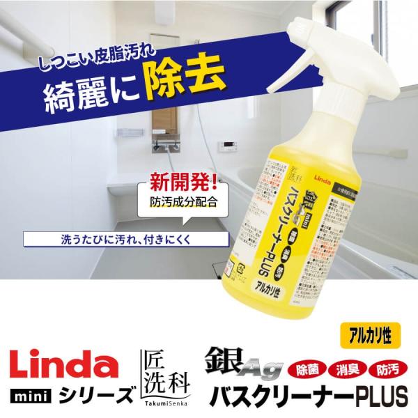 Linda 銀バスクリーナーPLUS アルカリ性 mini