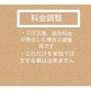 料金調整　100円
