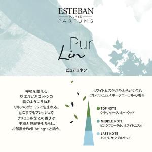 ESTEBAN エステバン お香 40本入り ...の詳細画像2