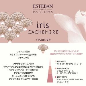ESTEBAN エステバン お香 40本入り ...の詳細画像4