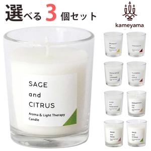 プラナロム お試しセット トライアルキット 60品種キット 02568