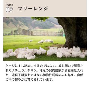 ラシャトン LA CHATON 猫 犬 おやつ...の詳細画像5
