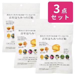 ３袋セット だいじょうぶなもの のど飴 百年はちみつのど飴