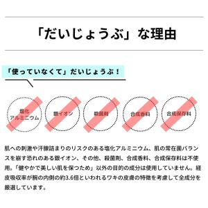 2本セット だいじょうぶなもの 旧 メイドオブ...の詳細画像5