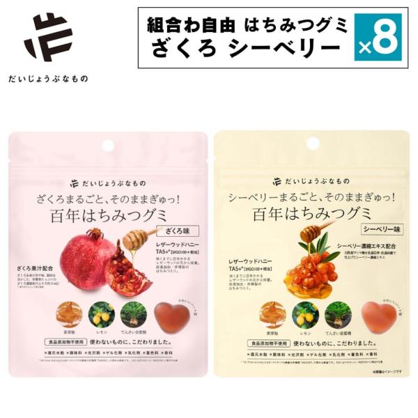 8点セット だいじょうぶなもの 百年はちみつグミ 無添加 ぐみ ざくろ味 シーベリー味 ザクロ レザ...