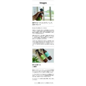 【2本セット】パーフェクトポーション バズオフ...の詳細画像4