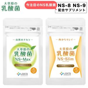 アルタイのNS乳酸菌 2袋 NS-Dx 腸活 乳酸菌 サプリメント : スマート