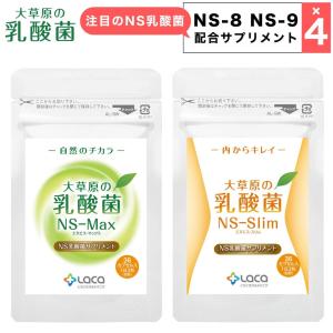 アルタイns乳酸菌2袋 アルタイのNS乳酸菌 2袋 - メルカリ