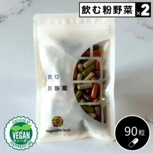 飲む粉野菜 ベジタブルテック 6つの野菜セレクション 90粒 野菜 