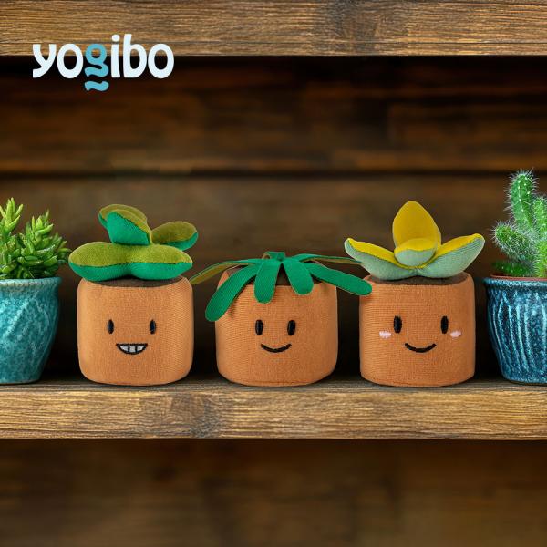 【10％OFF クリスマスセール】 Yogibo Squeezibo Plant ヨギボー スクイー...