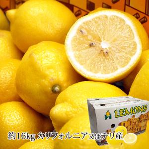 チリ産 レモン 約165玉入 約17.2kg （箱） : 生鮮卸売市場 - 通販