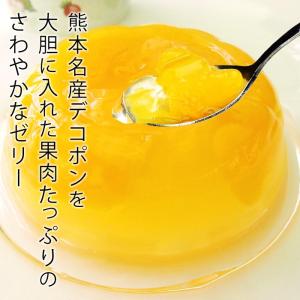 ゼリー デコポンゼリー 熊本県産 12個入 爆買の詳細画像1