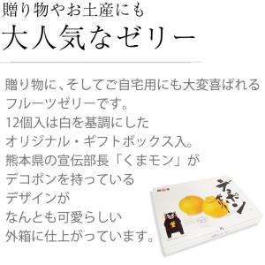 ゼリー デコポンゼリー 熊本県産 12個入 爆買の詳細画像2