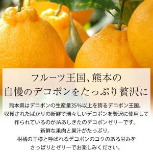 ゼリー デコポンゼリー 熊本県産 12個入 爆買の詳細画像3