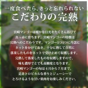 マンゴー 完熟宮崎マンゴー 宮崎県産 3Lサイ...の詳細画像1