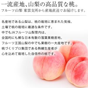 桃 山梨の桃 山梨県産 特秀品 約2kg 5〜6玉の詳細画像1