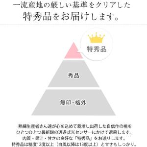 桃 山梨の桃 山梨県産 特秀品 約2kg 5〜6玉の詳細画像2