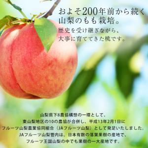 桃 山梨の桃 山梨県産 特秀品 約2kg 5〜6玉の詳細画像4