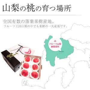 桃 山梨の桃 山梨県産 特秀品 約2kg 5〜6玉の詳細画像5