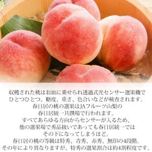 お中元 桃 春日居の桃 山梨県産 特秀品 約1...の詳細画像3