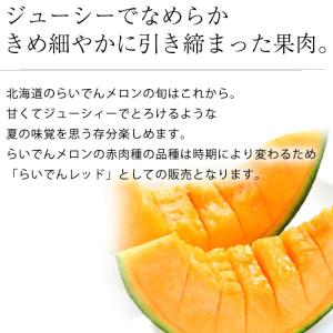 メロン らいでんメロン 北海道産 赤肉 秀品 ...の詳細画像1