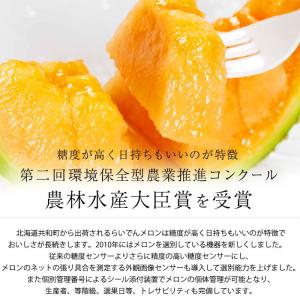 メロン らいでんメロン 北海道産 赤肉 秀品 ...の詳細画像2