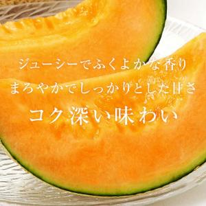 メロン らいでんメロン 北海道産 赤肉 秀品 ...の詳細画像3