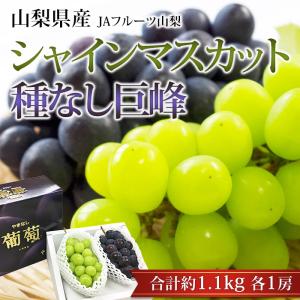 ぶどう シャインマスカット 巨峰 山梨県産 約1.1kg 各1房 爆買