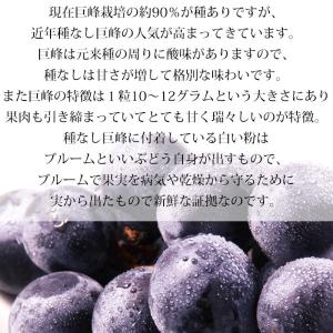 ぶどう シャインマスカット 巨峰 山梨県産 約...の詳細画像5