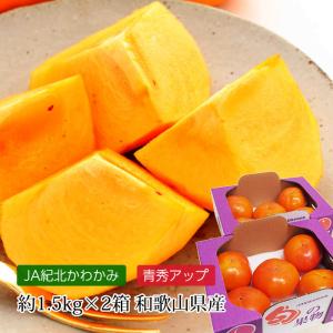 柿 和歌山県産 富有柿 青秀アップ 約3kg（約1.5kg（5〜6玉）×2箱）