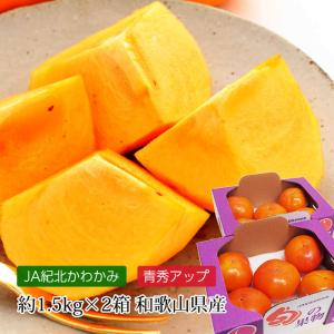 柿 富有柿 和歌山県産 青秀アップ 約3kg