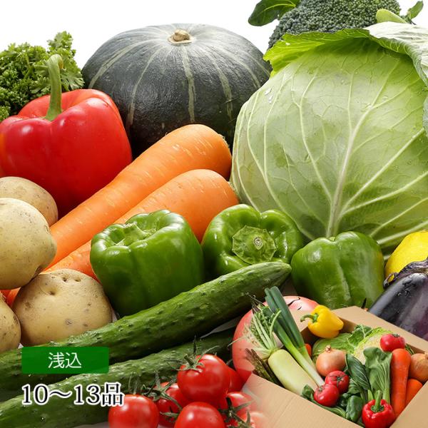 野菜詰め合わせ 市場直送おまかせ国産野菜セット 10〜13品 国産