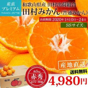 みかん 田村みかん（普通みかん） 赤秀 約5kg SSサイズ 約75〜80個 和歌山県