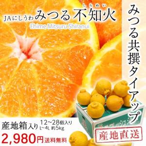 不知火（しらぬい）  5キロ L〜4L （12〜28個）　みつる共撰　愛媛JAにしうわ