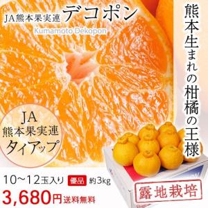 みかん デコポン 熊本産 3kg 贈答用 でこぽん ミカン 露地栽培 10〜12玉 優品 送料無料