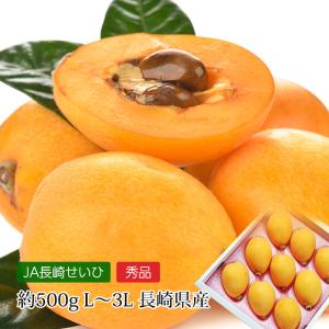 びわ 長崎県産 長崎びわ 秀品 約500g L〜3Lサイズ 8〜12玉