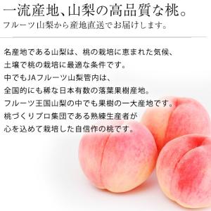 桃 山梨の桃 山梨県産 秀品 約1.5kg 5...の詳細画像1