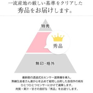 桃 山梨の桃 山梨県産 秀品 約1.5kg 5...の詳細画像2