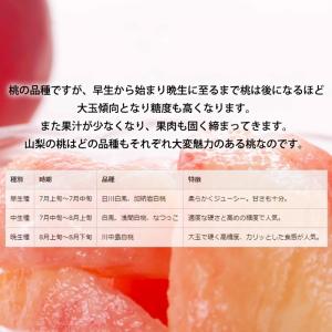 桃 山梨の桃 山梨県産 秀品 約1.5kg 5...の詳細画像3