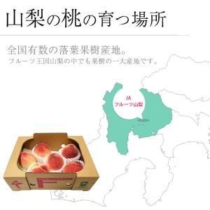 桃 山梨の桃 山梨県産 秀品 約1.5kg 5...の詳細画像5