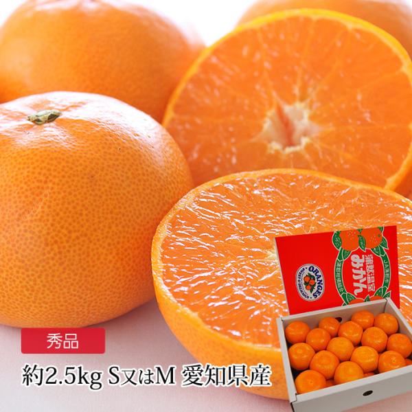 みかん 蒲郡ハウスみかん 愛知県産 秀品 約2.5kg 爆買